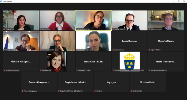 Dean of the Caucasus School of Governance Eka Akobia participated in ECFR seminar: Eastern Partnership post-Covid: How to build back better with women?